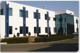 Company Building